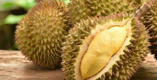 桃子核是干垃圾还是湿垃圾