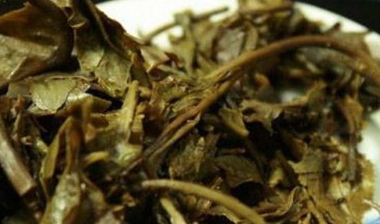 茶叶属于湿垃圾