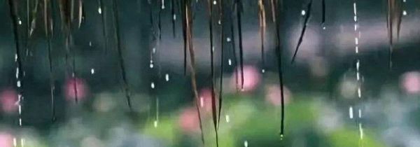 梅雨天什么时间