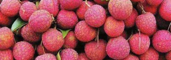 荔枝和桃子能一起吃吗