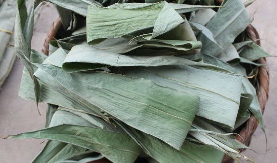 棕叶是干垃圾还是湿垃圾