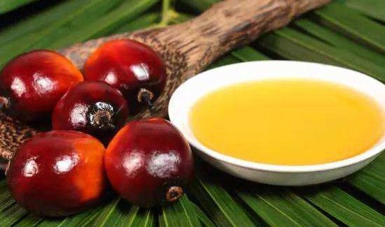 棕榈仁油和棕榈油的区别