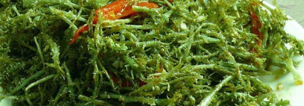 石花菜和鹿角菜的区别