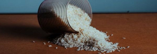 米里面有黑虫还能吃吗