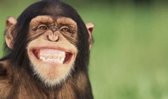 笑对人有什么好处