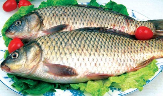 紫苏不能和什么一起吃