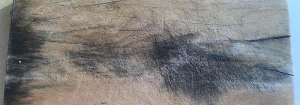 粘板发霉变黑怎么办