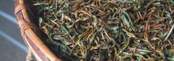 红茶的制茶过程