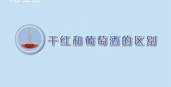 干红和葡萄酒的区别
