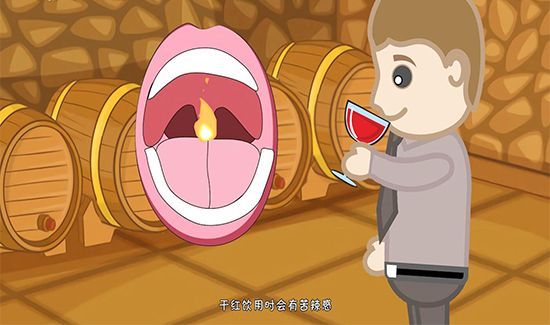 干红和葡萄酒的区别