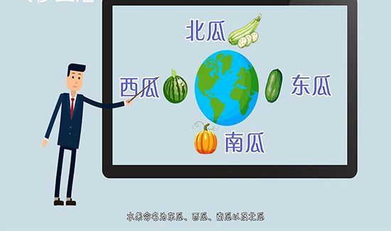 为什么没有北瓜