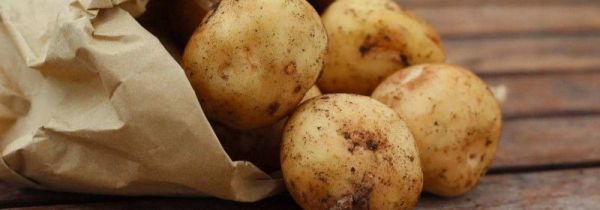哪些人不适合吃土豆