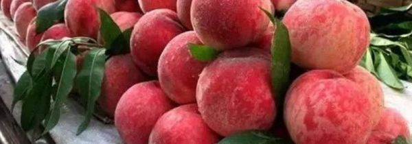 洗桃子的小窍门