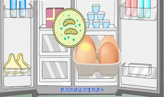 鸡蛋能放冰箱里吗