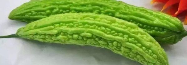 苦瓜生吃可以吗