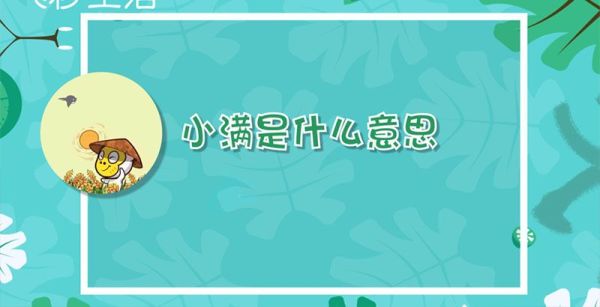 小满是什么意思