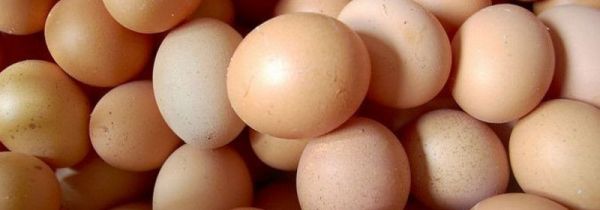 鸡蛋坏了怎么处理