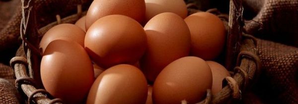 鸡蛋坏了能吃吗