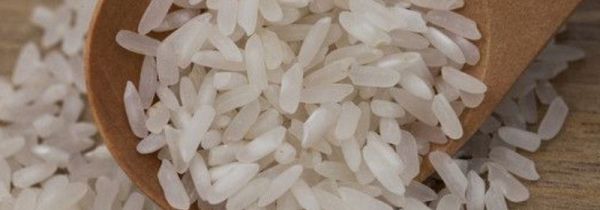 大米怎么放才不会生虫