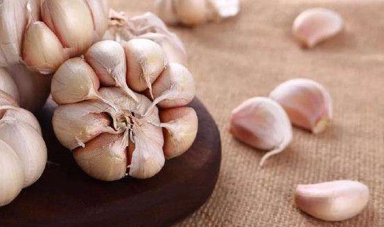 粮食如何保存不生虫子