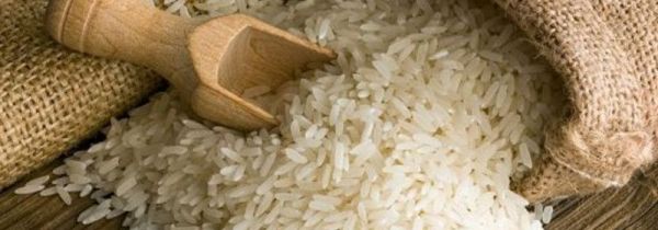 生大米放冷藏还是冷冻