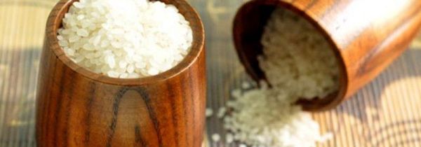 怎样能让米不生虫子