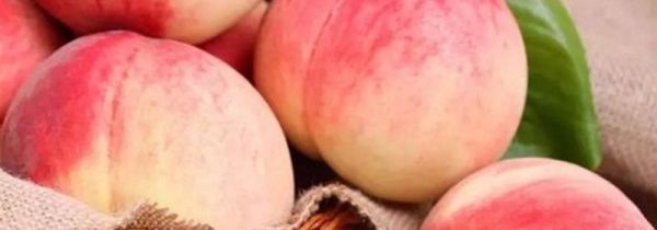 水蜜桃去皮后能放多久