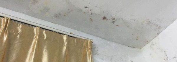 发霉的房间会致癌吗