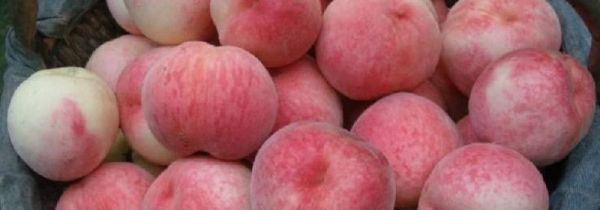 毛桃怎么洗才洗得干净