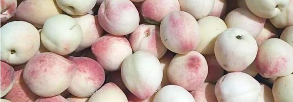 如何腌制小毛桃