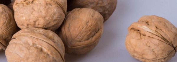 核桃能放冰箱冷藏吗