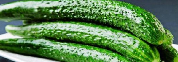 黄瓜可以放冰箱吗