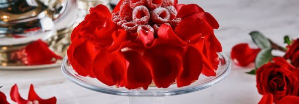 做蛋糕能用高筋粉吗