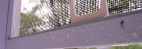 厨房纱窗清洗的妙招