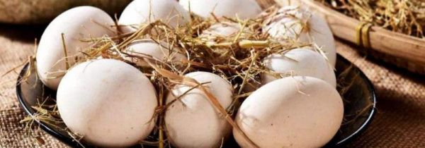 如何挑选鸡蛋是否新鲜