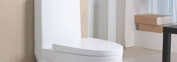 马桶可以对着门吗