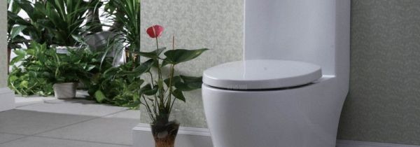 马桶可以用钢丝球刷吗