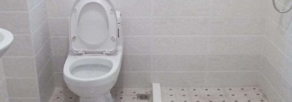 怎么能把坐便器清洗干净