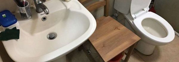 冲进厕所的东西去哪了