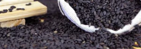 生芝麻能存放几年