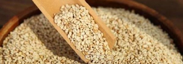 生芝麻可以直接吃吗