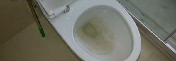 树枝可以冲进厕所吗