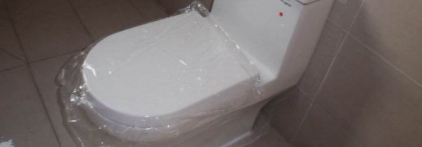 头发可以冲进厕所吗