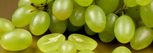 提子不洗就吃会怎么样