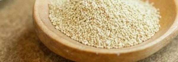 酵母能放冰箱吗