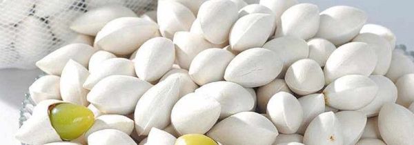 银杏果中毒怎么处理