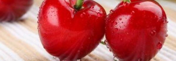 樱桃和桃子能榨果汁吗