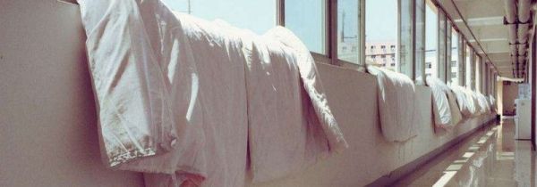 床上潮湿有虫怎么办