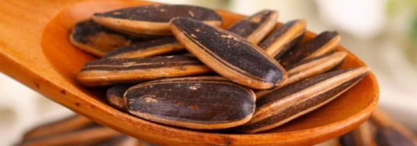 高铁上可以吃瓜子吗