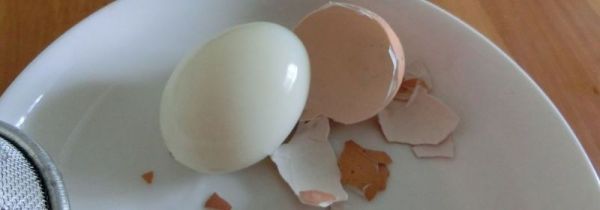 电水壶可以煮鸡蛋吗